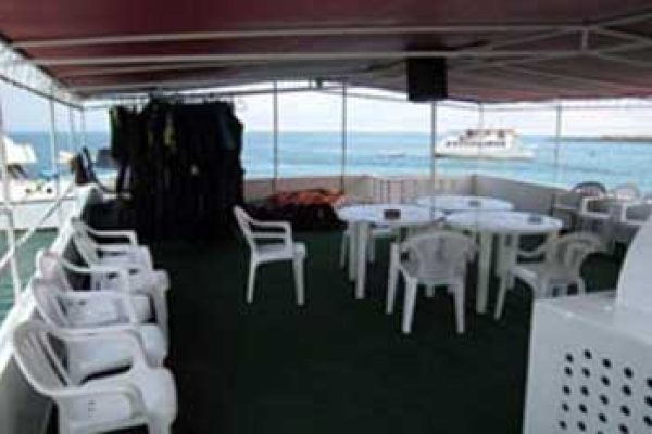 1-11-qpxm8jvaoq5mbt6z952v8w3esktpwidqmy4am9ckv4