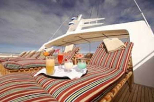 1-13-qpxp1a8n3k1ujevh1oljggzql4bsssa6hizk3rzq1s