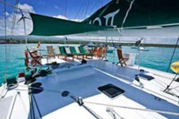 1-17-qpxo4gpigt4f5kjpozvhw95bvs3f18zkz2y7uynlb4