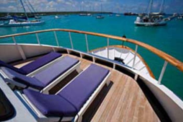 1-2-qpw0pns1iz9ffpa1szj0uh1zdrzhez33wzj55vvpgg