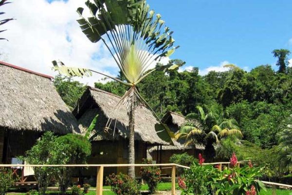 1-21-qpvtvc6mjy2cyf2q5igmfmrf8q2qaf7ddt0fph3s0w