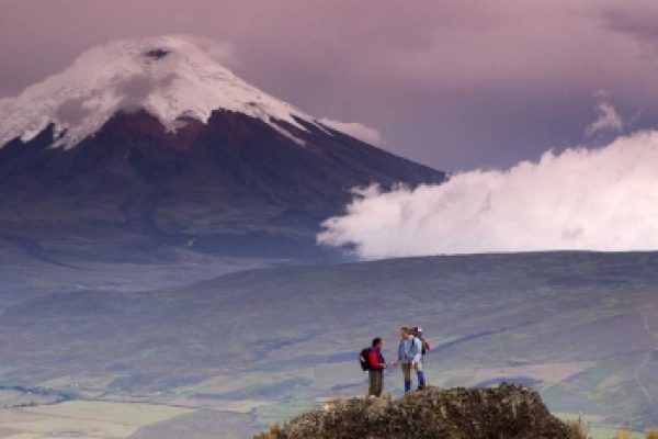 10-1-qpxfsvlc7r0errpp2hy66uqfwopvq5nf49kze2usgw