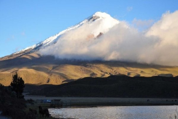 11-1-qpxftdg9tlouwczr67o30887709usembipz7ic4b6o