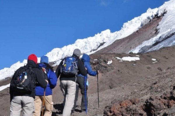 12-1-qpxft4zq43d9zvc1jm0fvsd1ujfjv4oqhk3u6uguqo