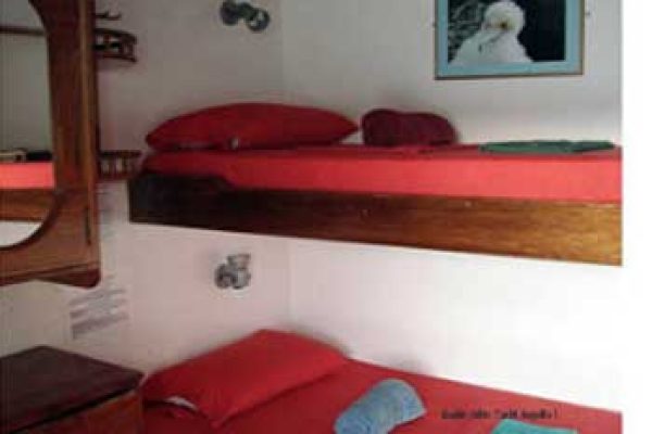 2-1-qpxgqz6k5dovyi6jy8kxn8yfpwn8yv0v51l45gamqo