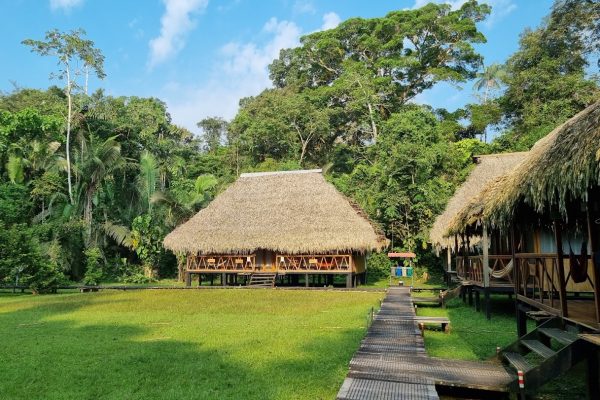 21-rasipxbi3znvwwdqmgg46hmusmuowgc5c4srzvf2jk