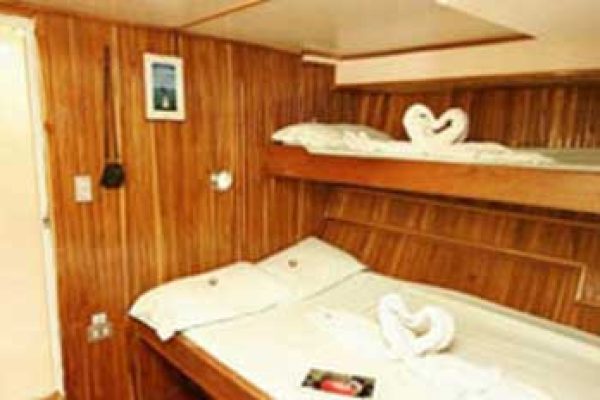 3-11-qpxm92o2hevcs0fo7d7emrcmoa926ggddj607skpeo