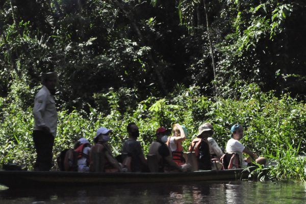 DSC0350-qpvv0fold6bokndo69zeg9ey97igu0cvp7up3063z4