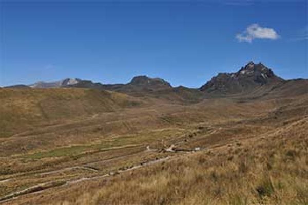 Guagua_3-qpw0tjtztal5hlmm362fnzpnw6t69vj448qho441pc