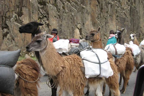 Hike-Cotopaxi-Quilotoa-Banos-qpw1oft2eavd0areq0q33p3yn0ke7t5kp4hwegbb8g