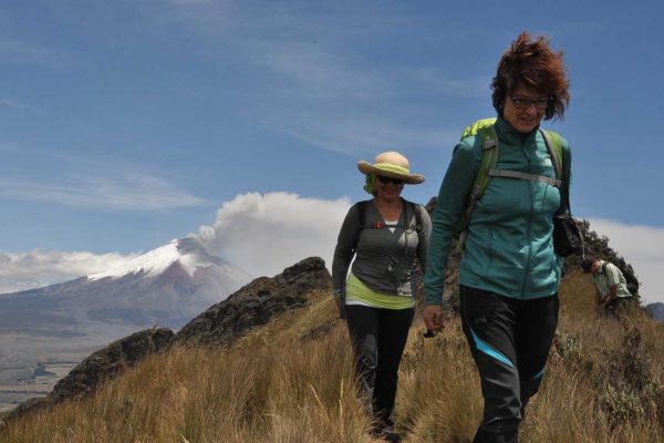 Humboldt_gal4-qsxnq1k7850shs5y378nnyeto4pt0nzvszfrgy36hs (1)