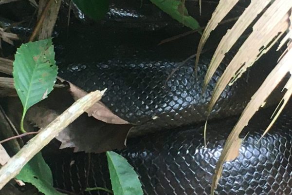 IMG_6091-scaled-qpvuwr5clja93mq6o6p06ouyhvnpooqq6zv8ezmmcg