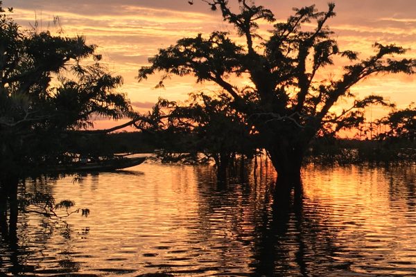 IMG_6326-scaled-qpvtuoont366w60uyqay7aowe3ajxzm2ykpapk2mcg