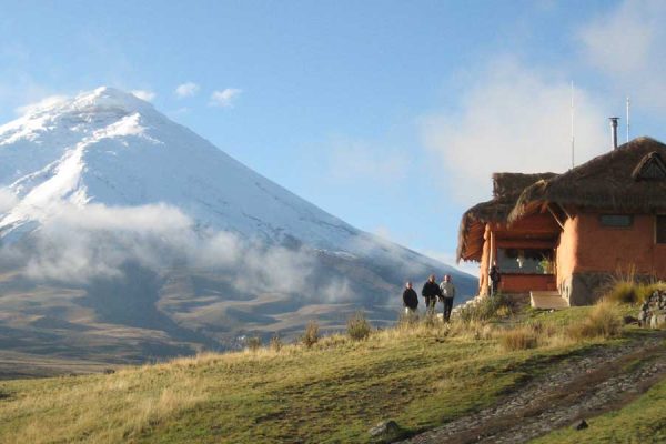 JPEG_015179-qsxo2wymtgn5hjgtx9jqb7h2j39rfg3jwp252d03a8