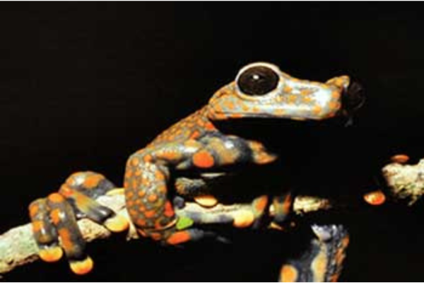 Untitled-design-14-qrv9v0c7jt2zcsi9trsizg2tfdijkvpxk0zdoaieu8