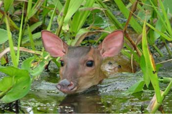 Untitled-design-16-qrvbvs0en2p460t1wq5ril0h08uihbluk75m6gm74w