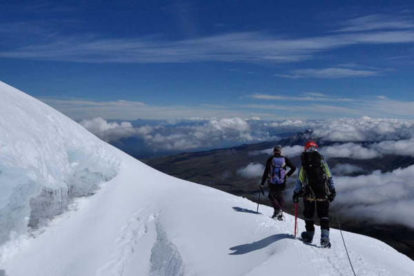 Untitled-design-3-qrv07quqn9pe30xdlnyft2s8qp4ruh3wh8diw5ehls