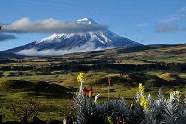 cotop_dt1-qpxaa2q6r6v78shfxkcru0qswwl5qqf5sadzd9mcgw