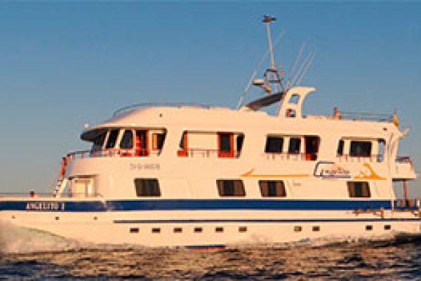 crucero-angelito-galapagos-qpvv0uq0eiw9qertqghfk5mbrdgc960l3aagrfjt7k