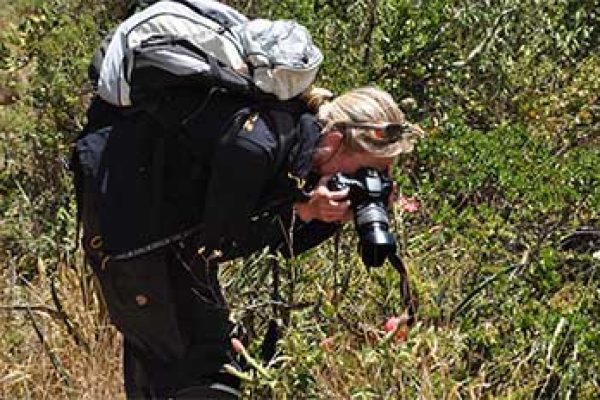 cuicocha_2-qpw04dpkt04qli6t2ae2wcdb8qvc5nlvbnuf1dfkbk