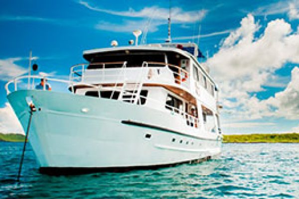 fragata-crucero-galapagos-qpw07rwlhgs0it9b8r7kwhj8gu51yb2z4gnjfceduo
