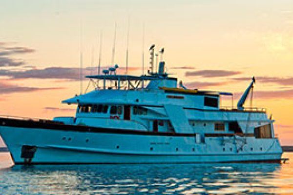 galapagos-beluga-crucero-qpxnii78t529xifyx0695amoaqbq7stbmeav997oo0