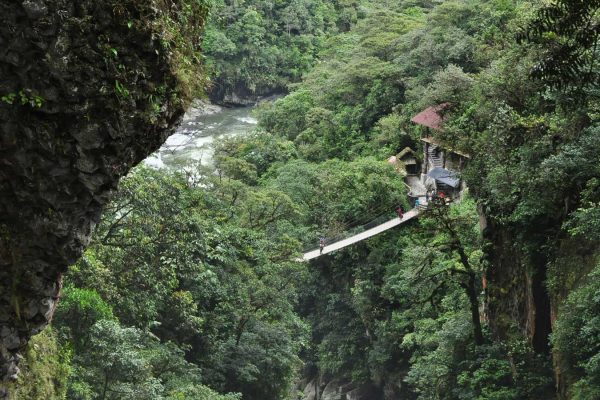 northern_gal4-qsxo3o7ybnogu8d8i3bwtilfr9jemo3rofz7zdvo9s